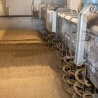 Kiemhallen Mouterij Albert